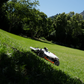 MAMMOTION LUBA 2 AWD 10000HX H Version Wire-Free Robotic Lawn Mower for Up to 2.5 Acres